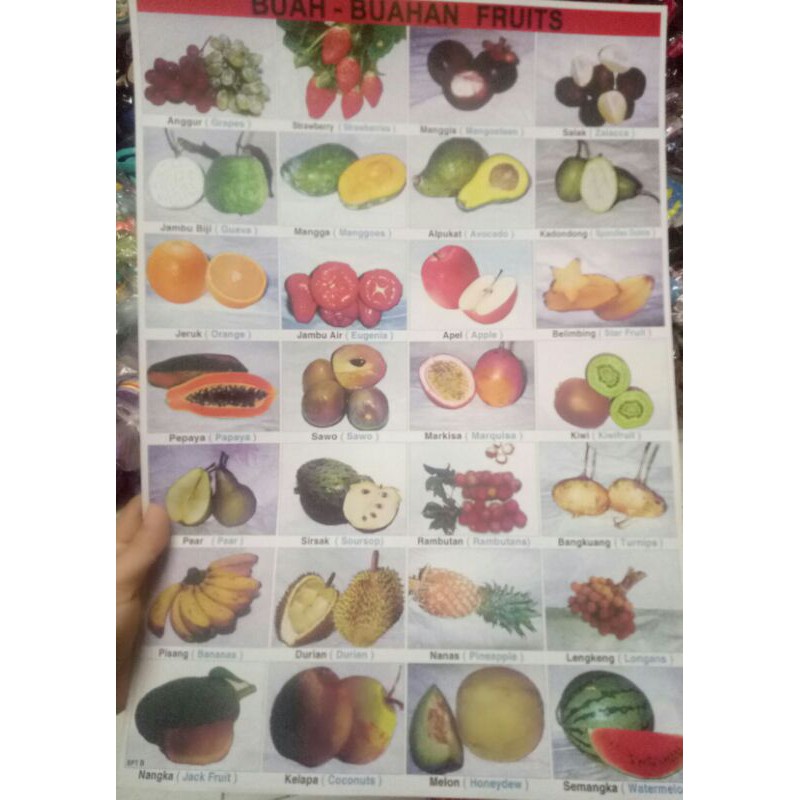 6 pcs  poster Angka / poster Huruf  / poster Hewan / poster Buah / Poster Hijaiyah / poster tambahan / poster edukasi anak