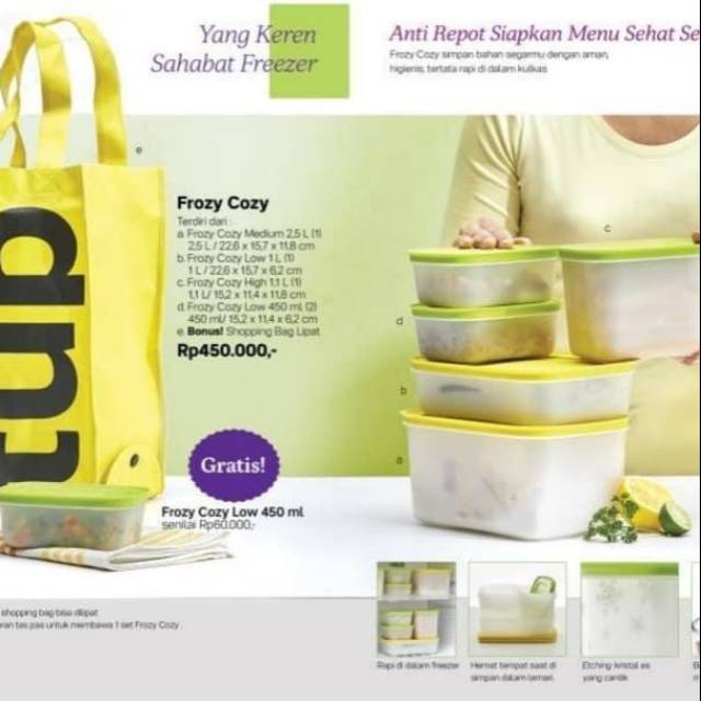 Tupperware Frozy cozy