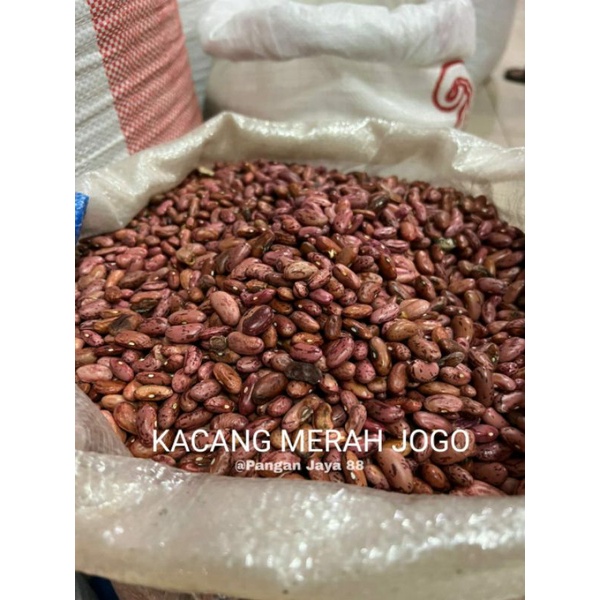 

Kacang Merah Jogo 500gr (1/2 KG) / Red Beans / Kacang merah besar