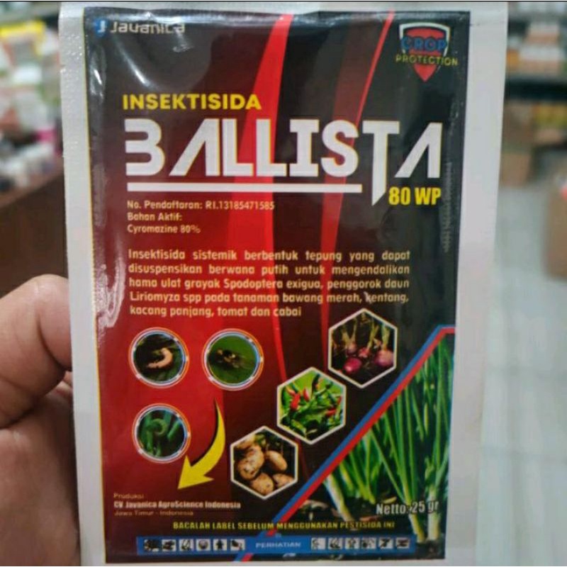 INSEKTISIDA BALLISTA 80WP obat grandong bawang merah