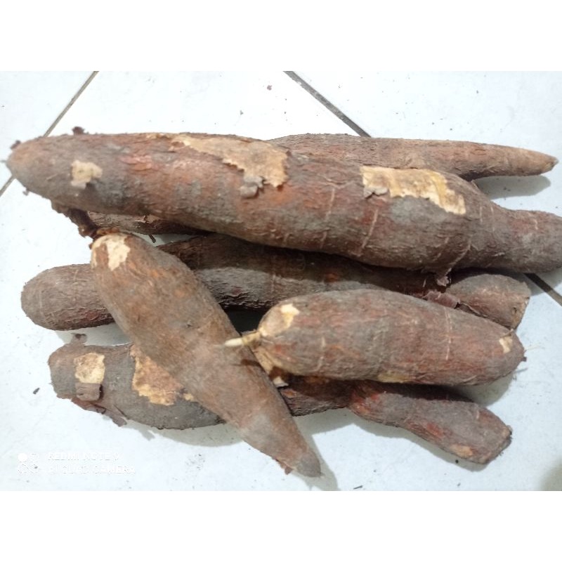 

singkong empuk dan pulen 1kg