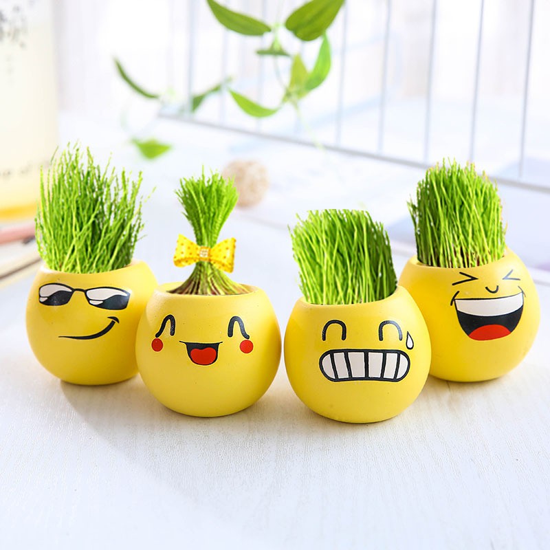 Ot256 Pot Bunga Lucu Mini Emoticon Dekorasi Tanaman Pot Hias