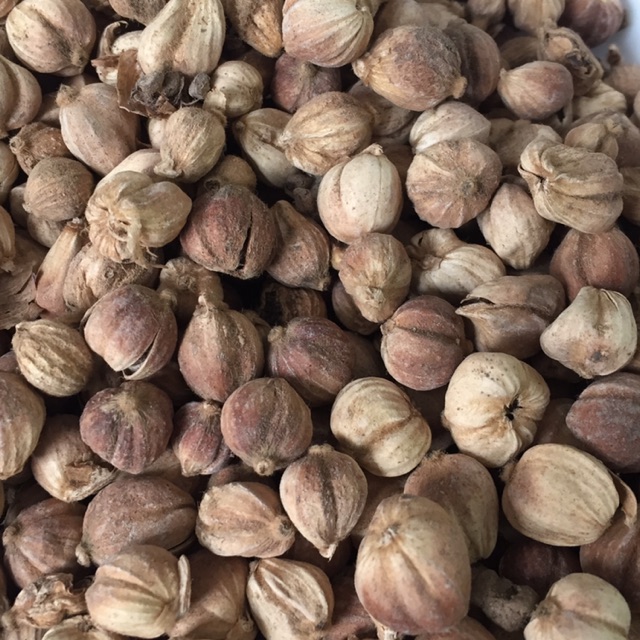 

Kapulaga Lokal 50 gr