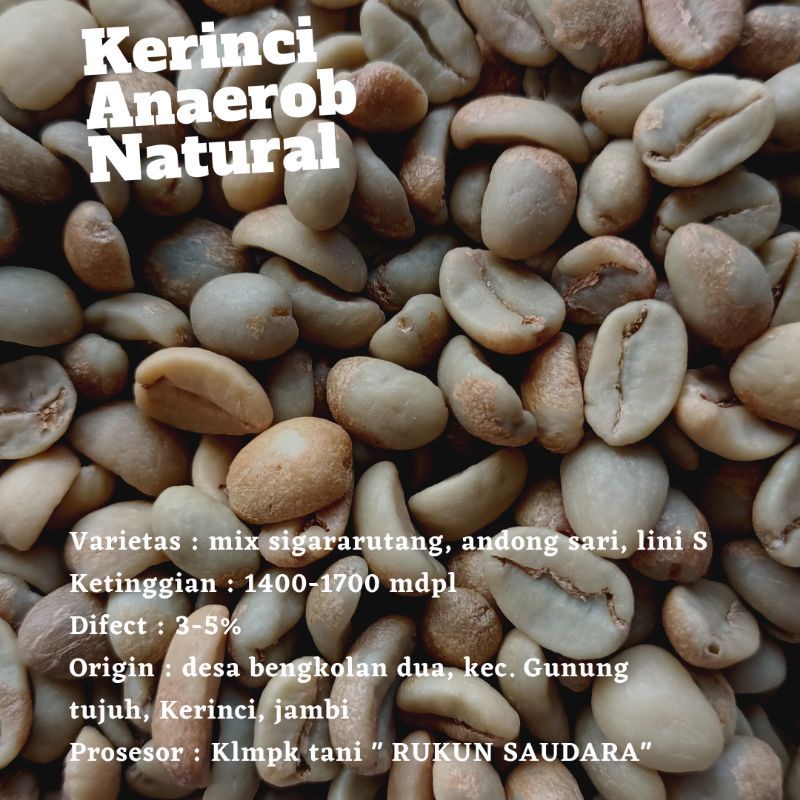 

greenbean arabika kerinci ANAEROB NATURAL