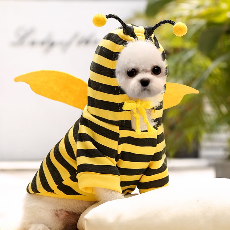 ★〓YUFeiPet〓★ Pet puppy Halloween dress up bee costume puppy autumn and winter plus velvet clothes