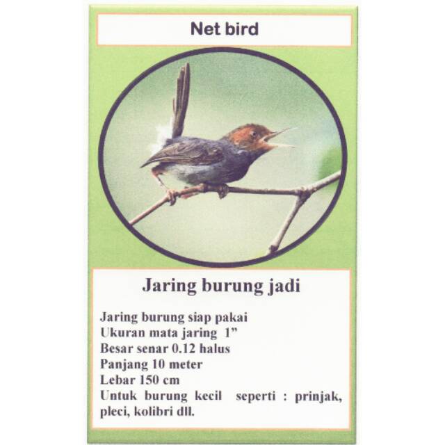 740 Gambar Burung Net Net Gratis Terbaru