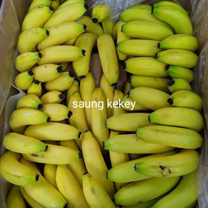 

PISANG SUNPRIDE FRESH