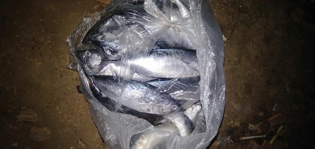 Medium Square Round (1 Pcs) Tupwr