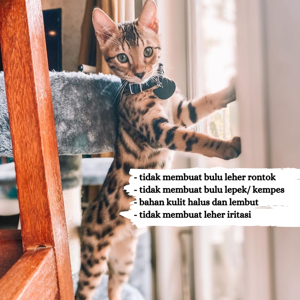 KALUNG KUCING NAMA CUSTOM DAN NO HP LONCENG LUCU BAHAN KULIT ASLI MODEL SLOP - LIONTIN KEPALA KUCING