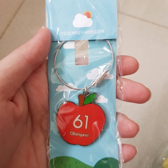 Exo Chanyeol apple keyring
