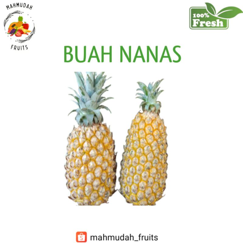 

Buah Nanas Manis 1 Pcs