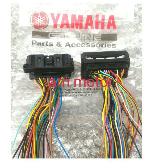 kabel soket ecu ecm Yamaha Aeroxi Lexi Freego 125vva xmax fi original
Asli ygp