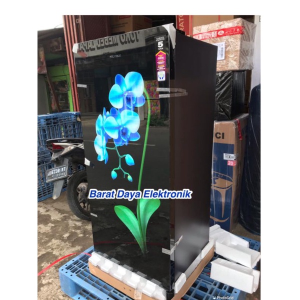 KULKAS POLYTRON 1 PINTU POLYTRON 180 LITER PRA- 18 MNX / 18MTR / 18 MOB / 18 MTR  Polytron Belleza Terbaru Low Watt