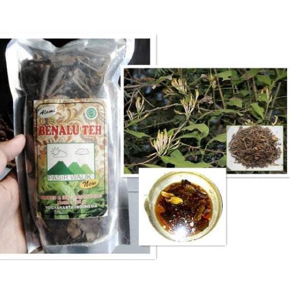 

BENALU TEH 100% ASLI Berkhasiat Sebagai Penyembuhan PASIR WALIK 100gr