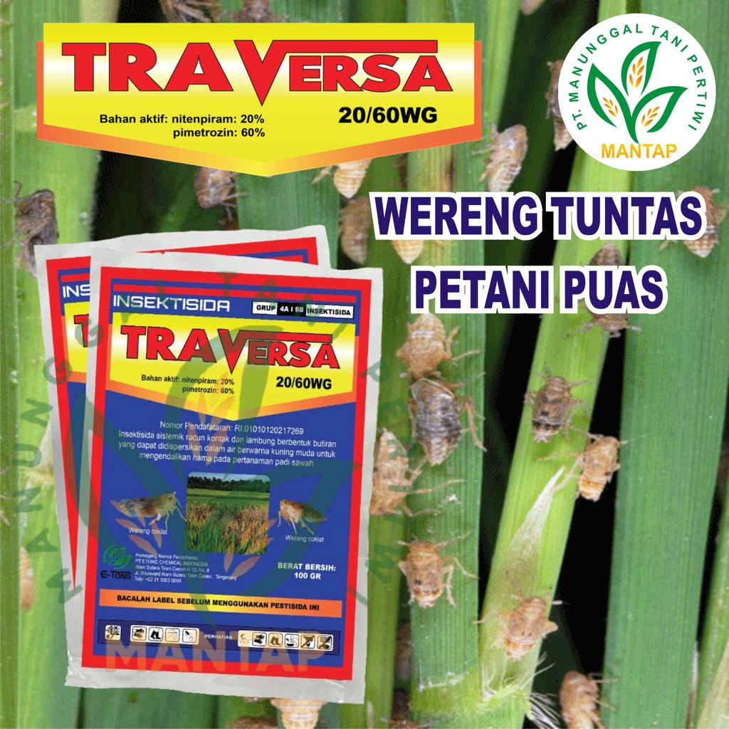 TRAVERSA 20/60 WG 100 Gram Insektisida Sistemik Pembasmi Kontak dan Lambung Untuk Mengendalikan Hama Wereng Coklat Pada Tanaman Padi