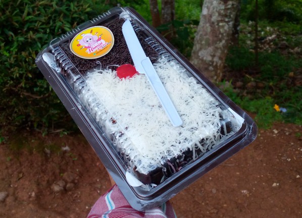 Pisau Plastik Kue Brownies Kecil Pisau Roti Cake Pisau Pizza  Isi 100pcs