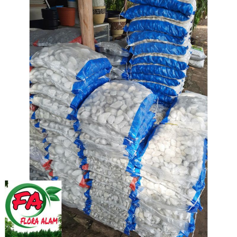 Batu Koral Kupang Putih / Batu Hias Putih Untuk Taman