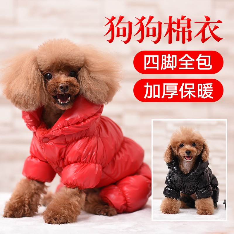 Pakaian 4 Kaki Untuk Anjing Chihuahua Shopee Indonesia