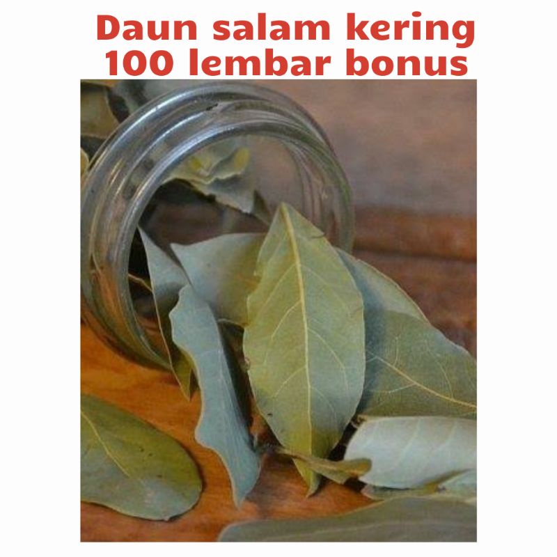 

daun salam kering 100 lembar bumbu masakan wangi alami