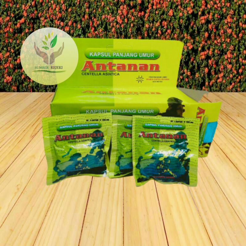 Obat Asam Urat Dan Rematik Antanan Original Kapsul Panjang Umur Asli Obat Antanan