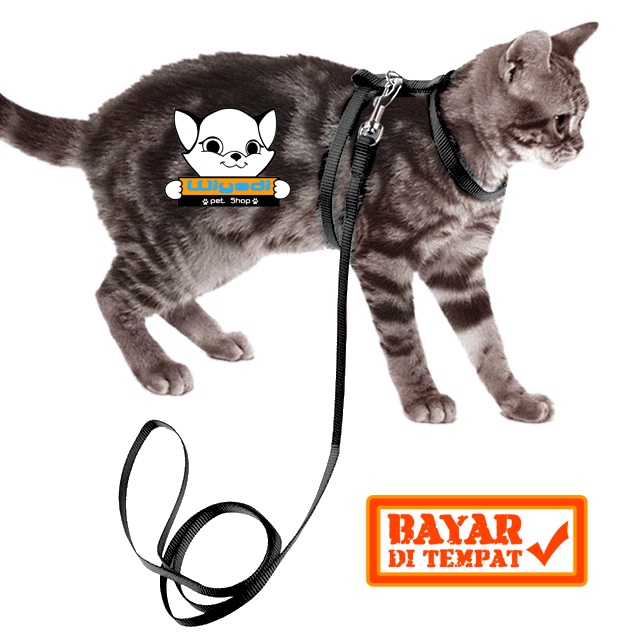 Harnes H Size M -  Tali pernuntun untuk Jalan Hewan Kucing Musang Kelinci Biawak Luak Monyet Puppy