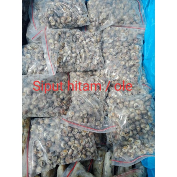 

Siput Hitam / Ole 1kg