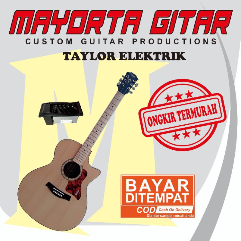 gitar elektrik taylor
