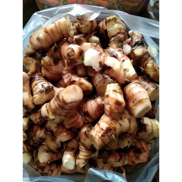 

LaosFreshLaosSegar1kg