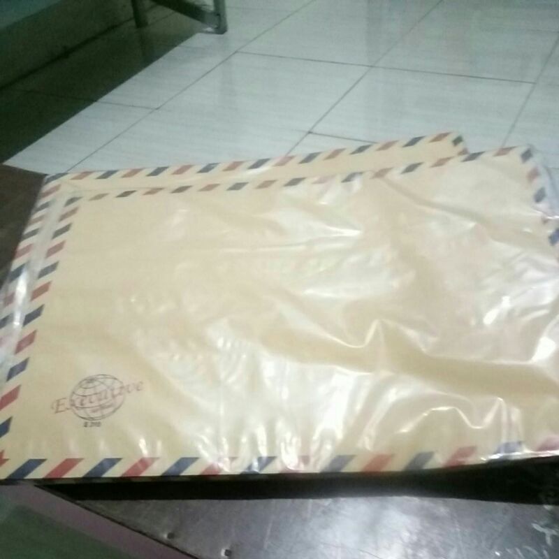 

Amplop isi 10pc coklat lamaran kerja Executive ukuran folio