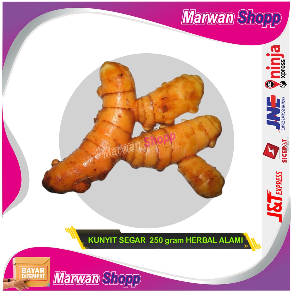 

KUNYIT SEGAR 250 gram HERBAL ALAMI MARWAN SHOPP