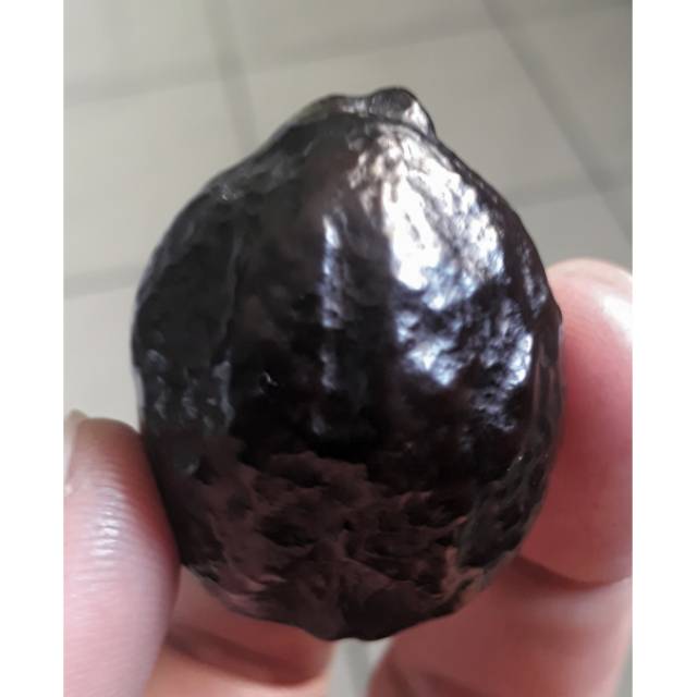 Muncang Adu Jayanti Si Jayen Siap Adu