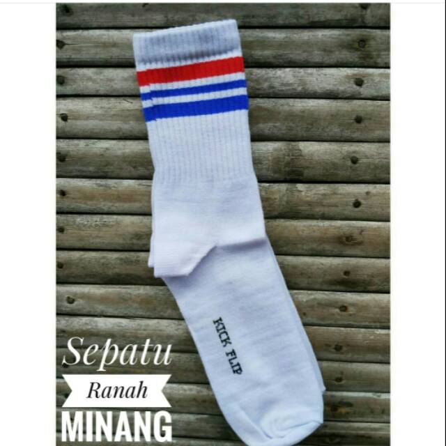 Kaus kaki skate ( kodaci)