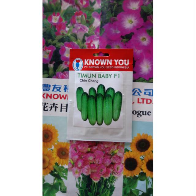 Benih Biji Bibit Timun Baby F1 CHIN CHANG