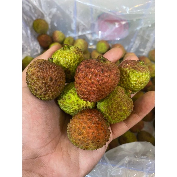 

BUAH LECHY|BUAH LECI MURAH!buah leci bandung|buah lechy hijau|buah leci hijau|buah lechy!!leci madu!!buah leci|buah lecy||buah leci bandung|nuri fruits|buah segar bandung