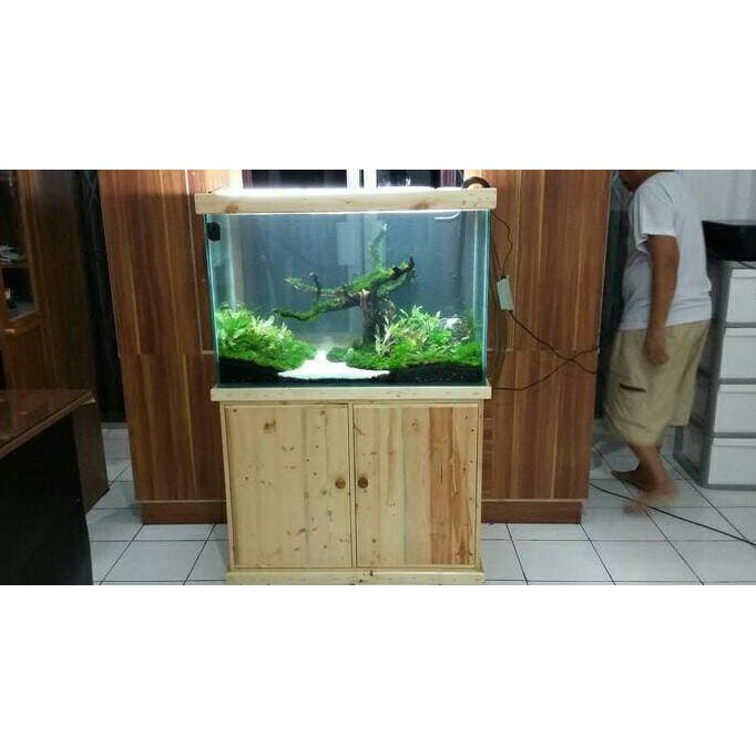 62+ Contoh Dekorasi Aquarium Air Tawar HD Terbaik