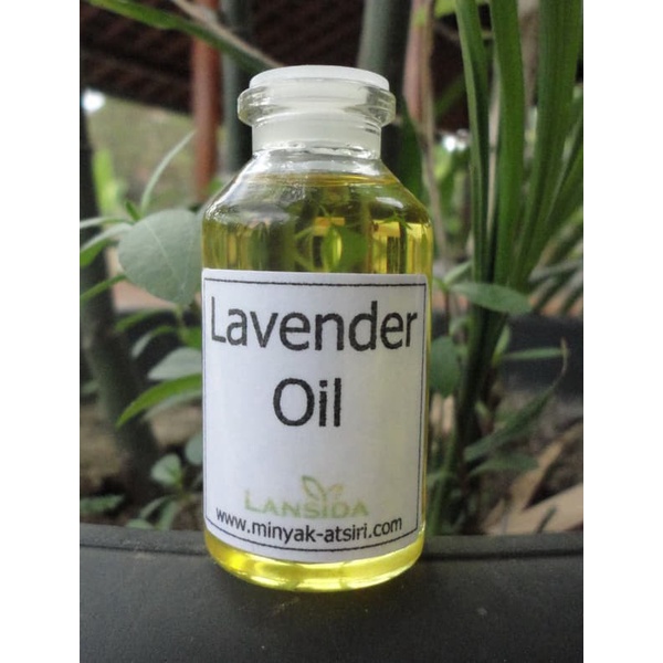 Lavender Essential Oil 500 ml Minyak Atsiri Lavandula angustifolia