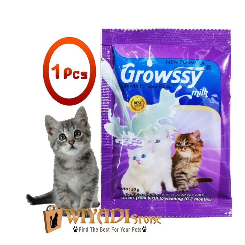 Susu Growsy Untuk Anak Kucing yang Unyu Unyu