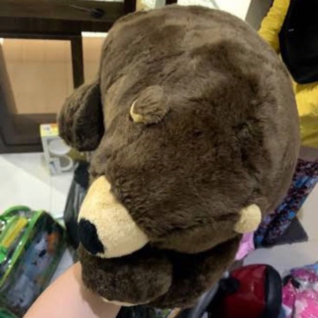 Boneka bear dari Spring Air