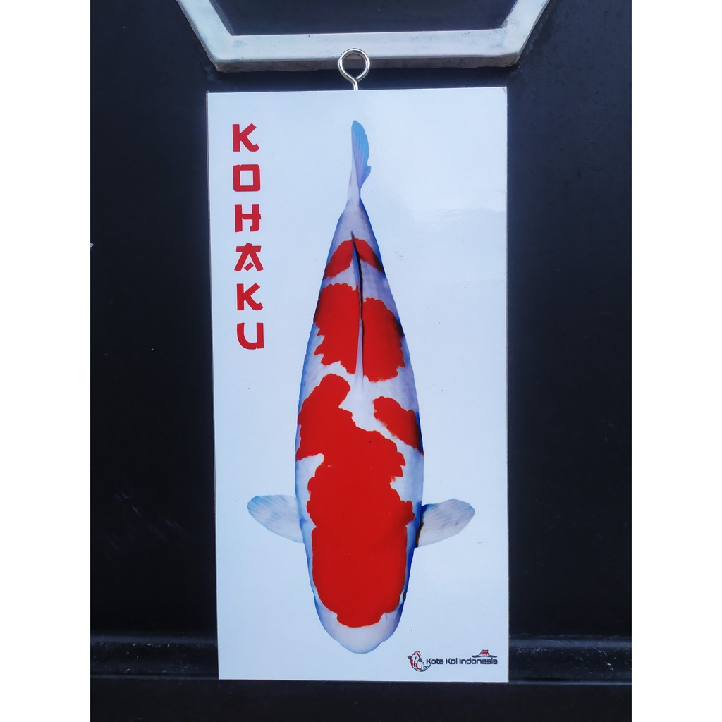 001 Dekorasi Dinding Ikan Koi KOHAKU 10cm x 20cm
