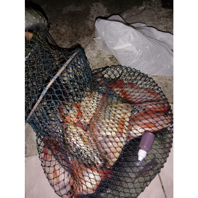 Essen oplosan Cocok Buat ikan Nila Dan Mujaer GEDIBAL FISHING