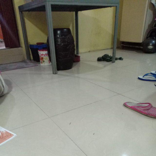 Dulux Catylac Galon 5KG Cat Tembok Dinding interior Warna Dulux Catylac Galon 5KG Cat Tembok Dinding interior Warna