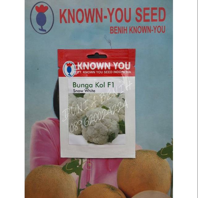 Benih Bunga Kol F1 SNOW WHITE