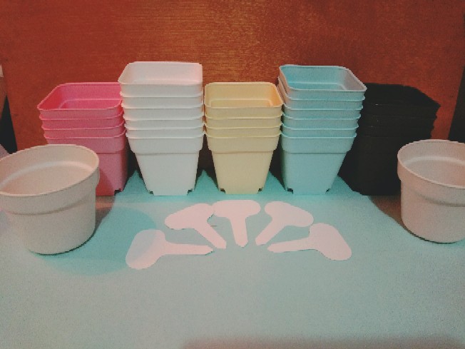 Label Tanaman Plant Tag Model T Untuk Ditancap Pada Semaian Atau Pot