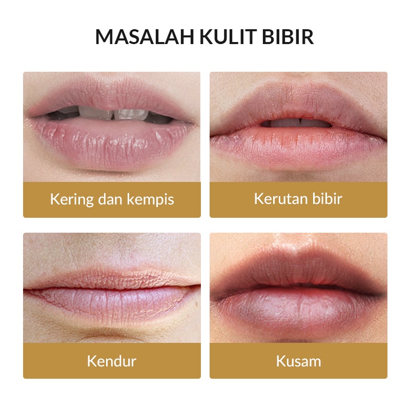 BIOAQUA X BUHOTEI Day &amp; Night Lip Serum Set (5ml + 5ml) Serum Bibir Pink Alami Lip Gloss Lip Oil