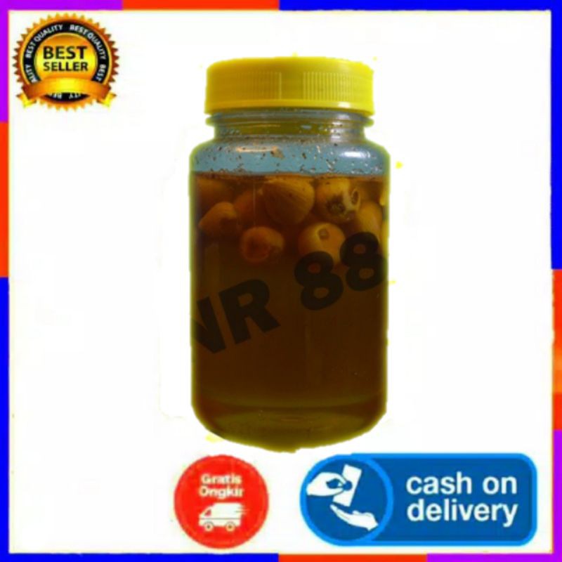 12.12 Flash Sale Madu bawang lanang / bawang tunggal 350 gram free dus box