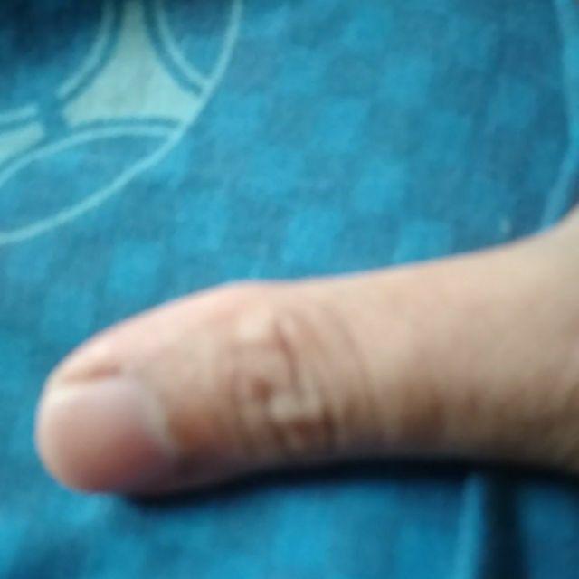 Pengupas Kulit Buah Murah / Peeler Buah / Pisau Kentang, Buah / Pisau Kupas Kulit Wortel