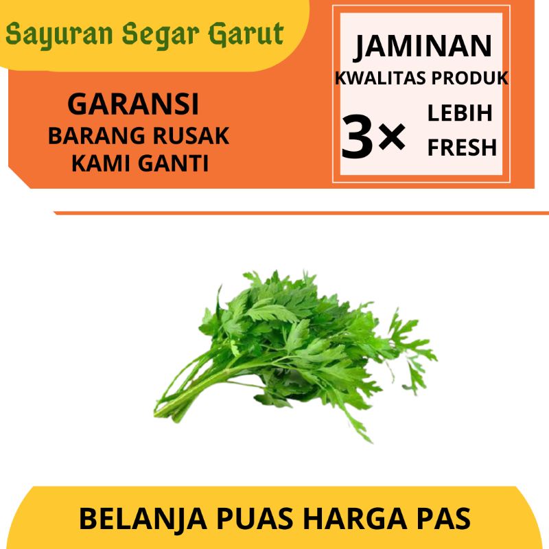 

Seledri Segar Per 1 Ikat by Sayuran Segar Garut