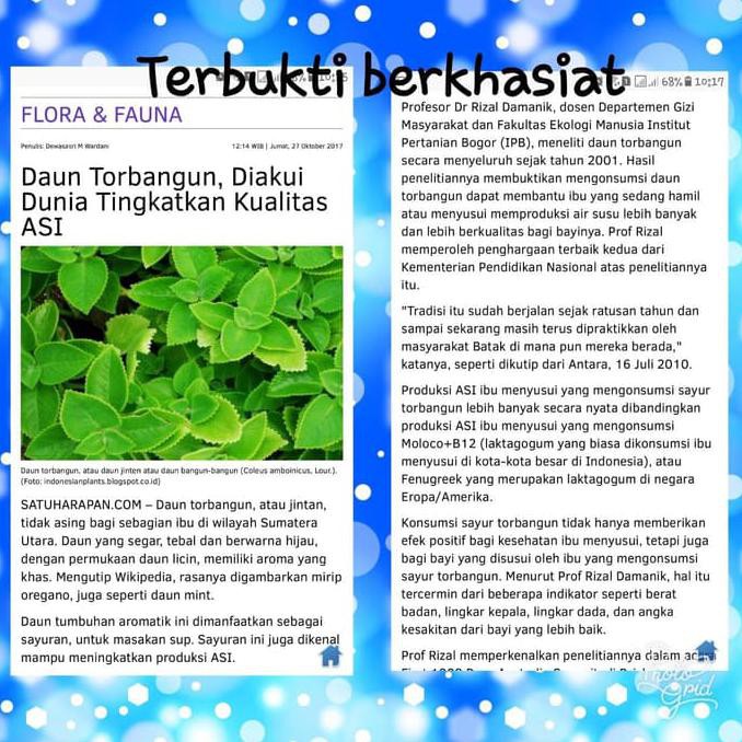 

Mmfem673- Teh Daun Bangun-Bangun (Asi Booster Alami) 957G