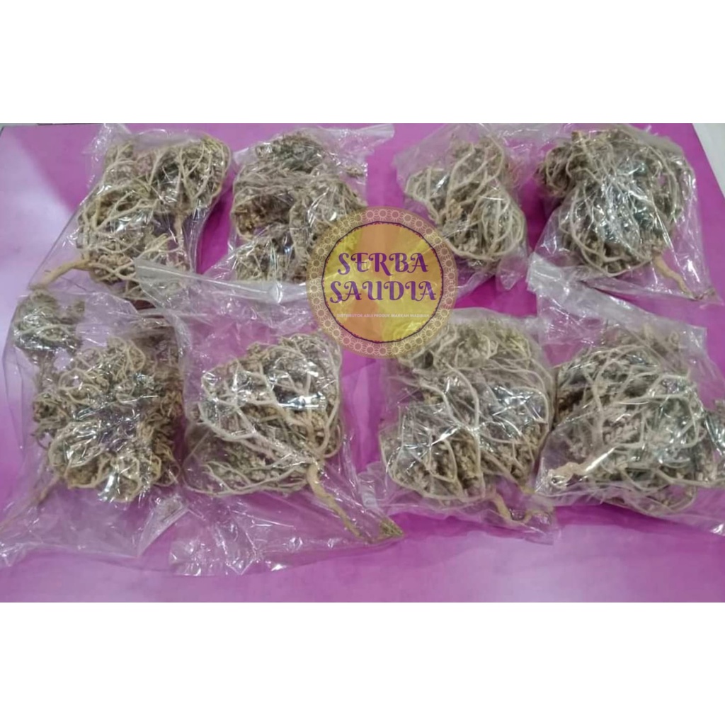 

(BESAR)Rumput fatimah asli / herbal pelancar bersalin