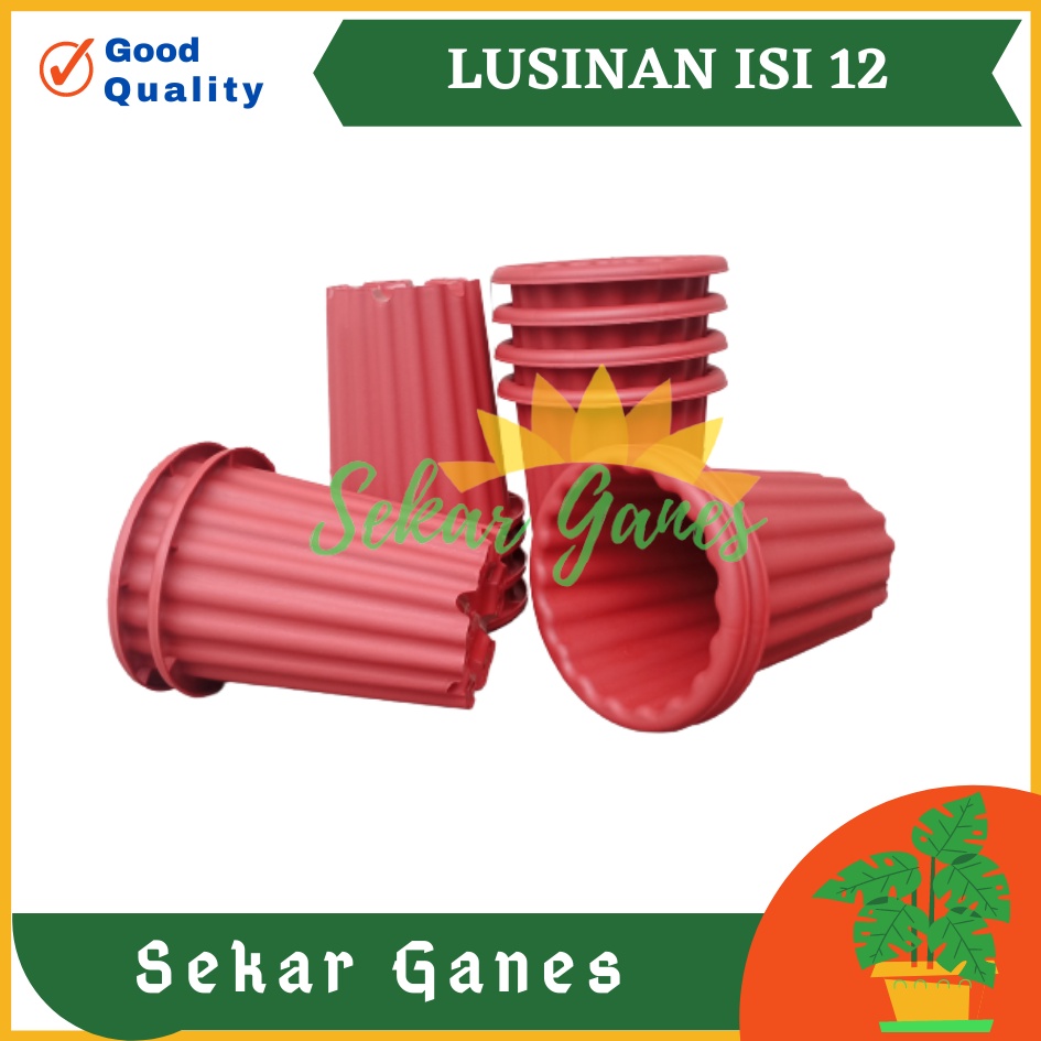 Lusinan 12pcs Pot Swiss 15 Putih Bening Transparan Hitam Merah Bata Merah Coklat Terracota Terracotta Mirip Lusinan Pot Yogap Ypt 10 13 15 Putih Coklat Merah Bata Bening Transparan Pot Yogap 17 18 19 Pot Yogap Murah Pot Bunga Tinggi Pirus Tegak Tebal